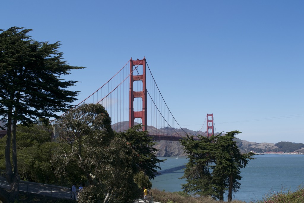 DSC_0486